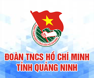 tinhdoanquangninh.vn